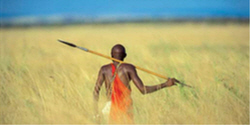 african safari