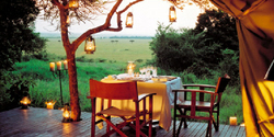 african safari